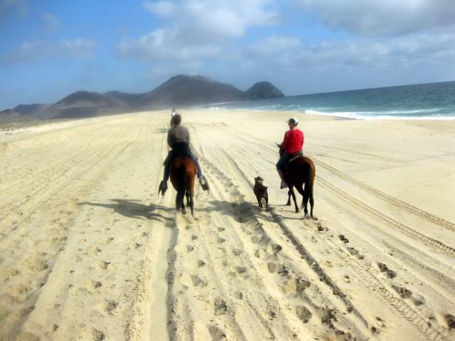 Paseo a caballo en la arena
